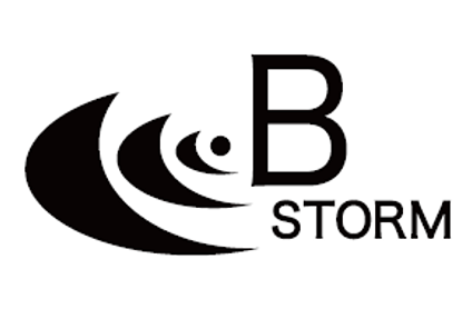 株式会社B-STORMのロゴ